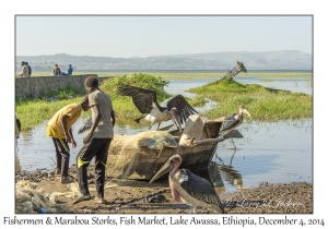 Fishermen & Marabou Storks