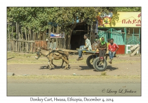 Donkey Cart