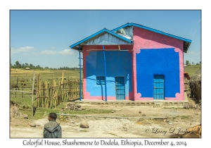 Colorful House