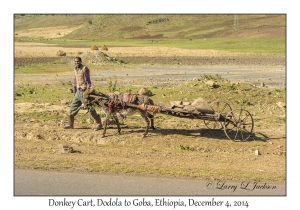 Donkey Cart