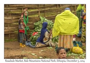 Roadside Market