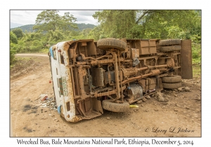 Wrecked Bus