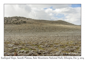 Scalloped Slope
