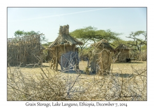 Grain Storage