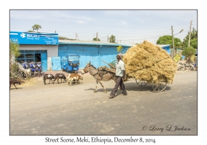 Street Scene