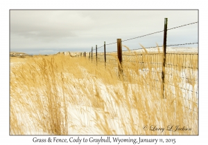 Grass & Fence