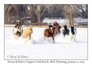 Horses & Riders