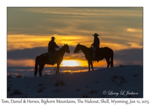 Tom, Daniel & Horses