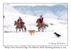 Marijn, Tom, Horses & Dogs