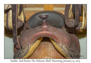 Saddle