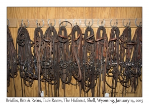 Bridles, Bits & Reins