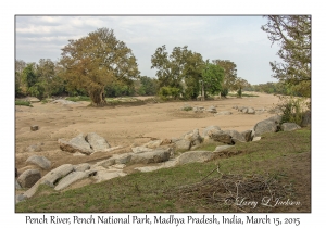 Pench River