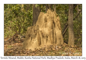 Termite Mound