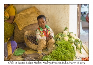 Child in Basket