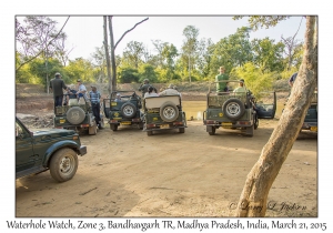 Waterhole Watch