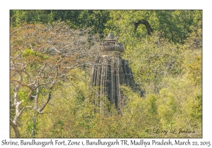 Shrine, Bandhavgarh Fort