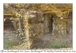 Offices, Bandhavgarh Fort