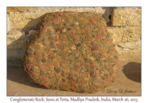 Conglomerate Rock