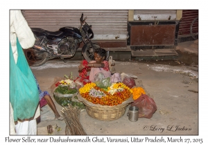 Flower Seller