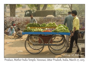 Produce Cart