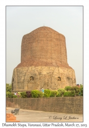 Dhamekh Stupa