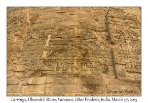 Carvings, Dhamekh Stupa