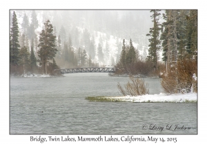 Bridge, Snowing