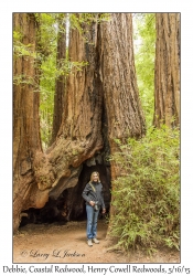 Debbie & Coastal Redwoods