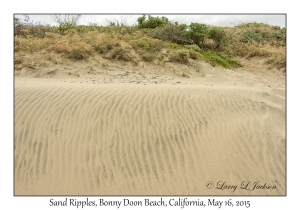 Sand Ripples