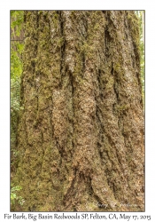 Fir Bark