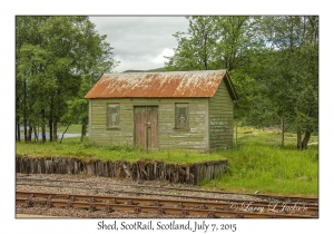 Shed