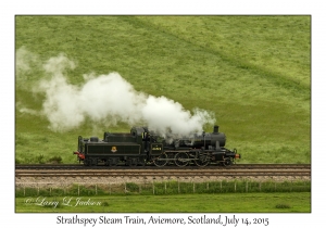 Strathspey Steam Train