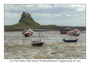 Low Tide Boats