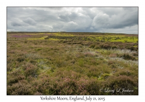 Yorkshire Moors