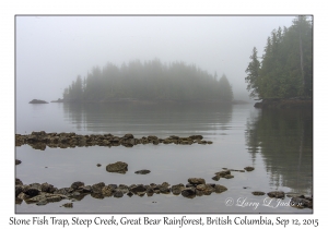 Stone Fish Trap