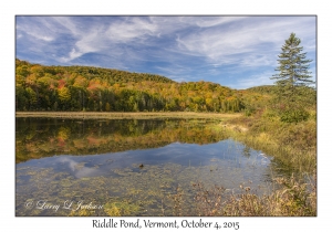 Riddel Pond