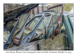 Car Doors