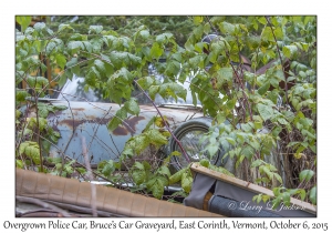 Overgrown Police Car