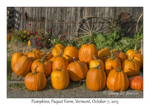 Pumpkins