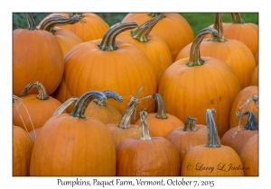 Pumpkins