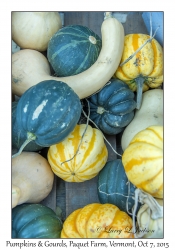 Pumpkins & Gourds