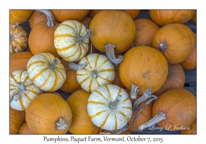 Pumpkins