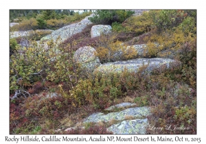 Rocky Hillside