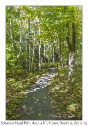 Schooner Head Path