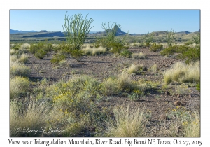 View near Triangulation Station Mountain