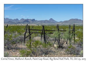 Corral Fence