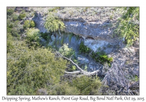 Dripping Spring