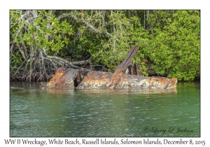 WW II Wreckage