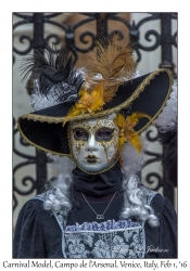 Carnival Model