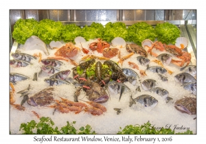 Seafood Restaurant Window